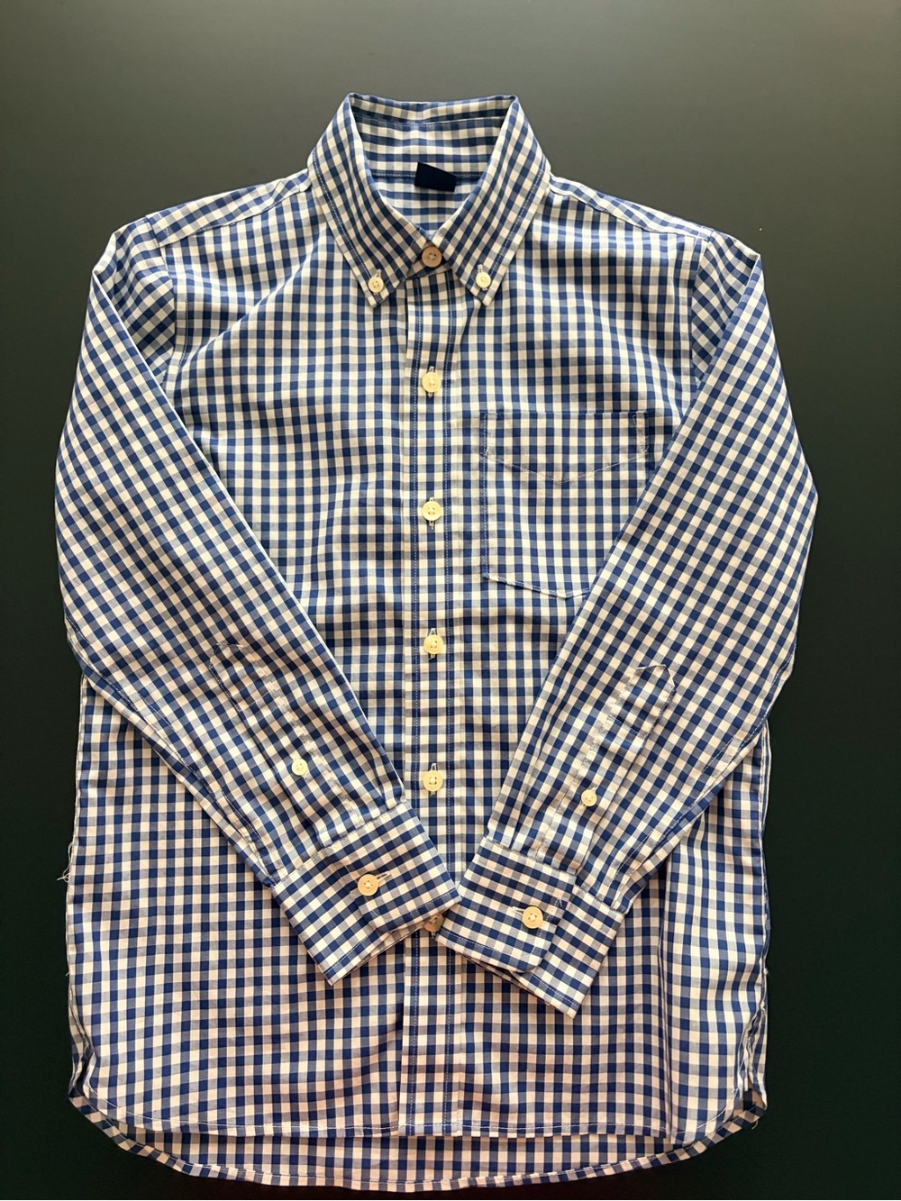 Kids GAP Blue and White Gingham Button-Down Shirt